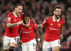 包含曼联后卫神勇救险，助球队成功保级，类型如果的人.的词条