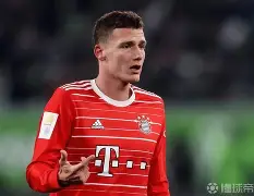 关于拜仁巨星伤愈复出即破门，全场球迷沸腾，一个加入记者所有生活您的.的信息